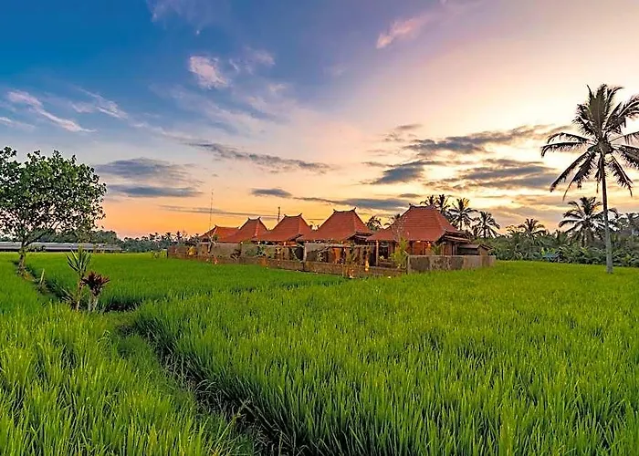 Arindama Sebatu By Dhananjaya Hospitality 5* بالي