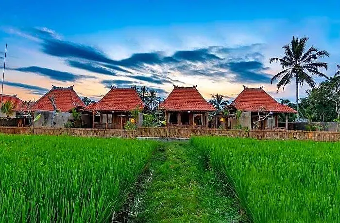 فندق Arindama Sebatu By Dhananjaya Hospitality