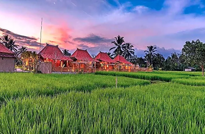 Arindama Sebatu By Dhananjaya Hospitality 5*