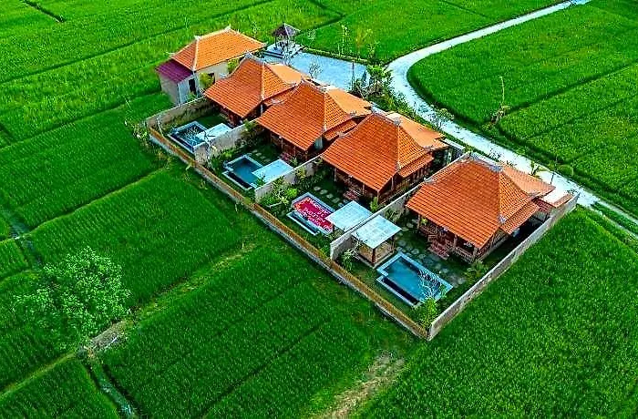 Arindama Sebatu By Dhananjaya Hospitality 5* بالي