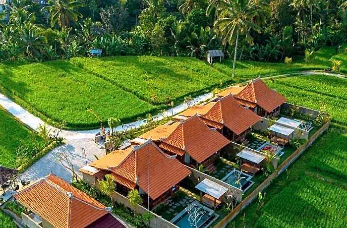 فندق Arindama Sebatu By Dhananjaya Hospitality 5*